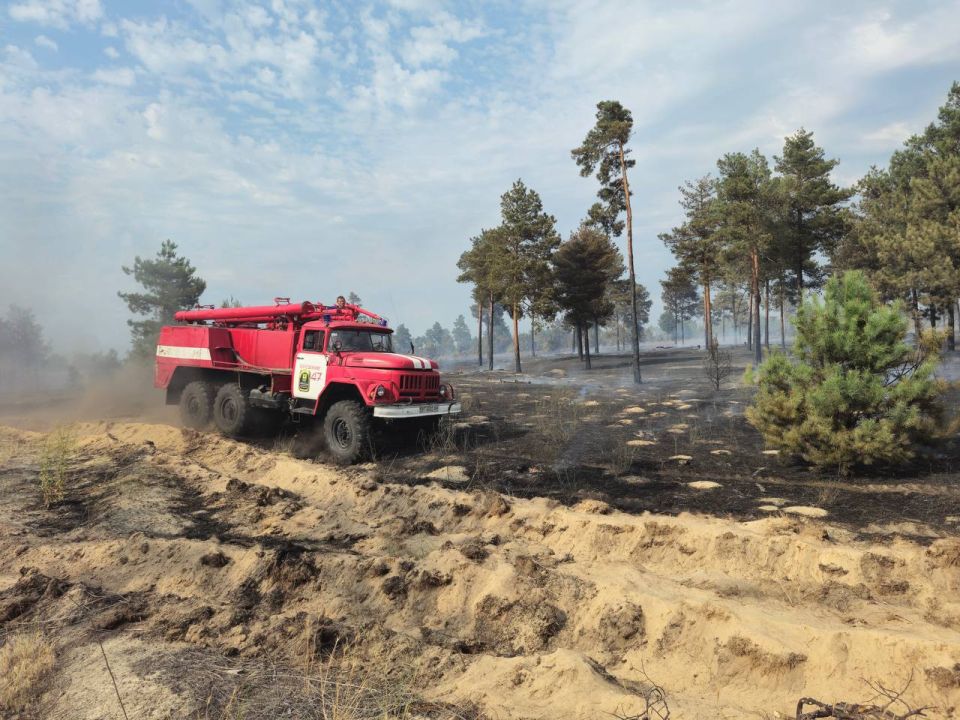 ��������������� ������ � ����