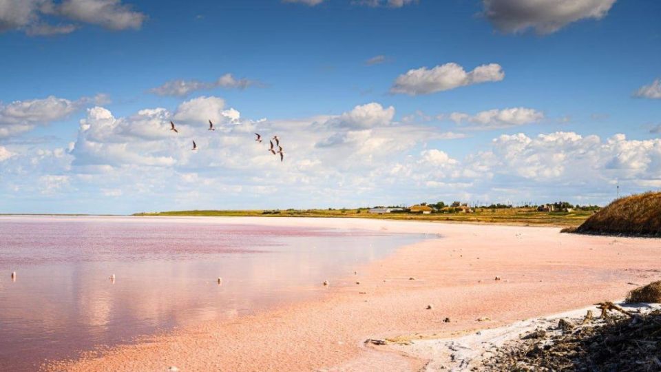 � ���������� ������� ����������� ��������� �������� �������� �������