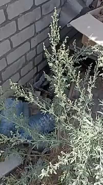 ��������������. ���� ��� ��������� � ������ ������� ��� ����� ��������������, ���� ���������� ��������� ������������, �������� ����������� ���������� ����������� ���