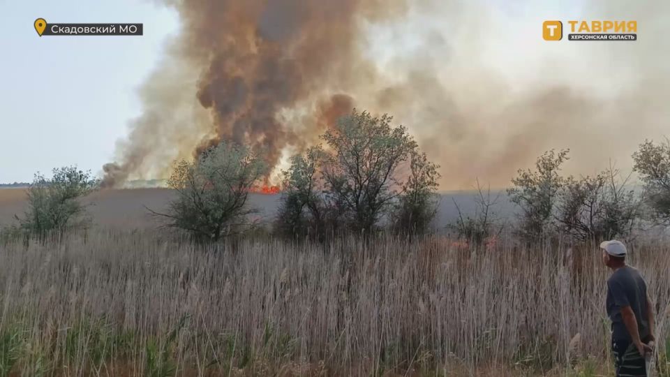 � ���������� ������ ���� ����� ������ ������� ����������� �����