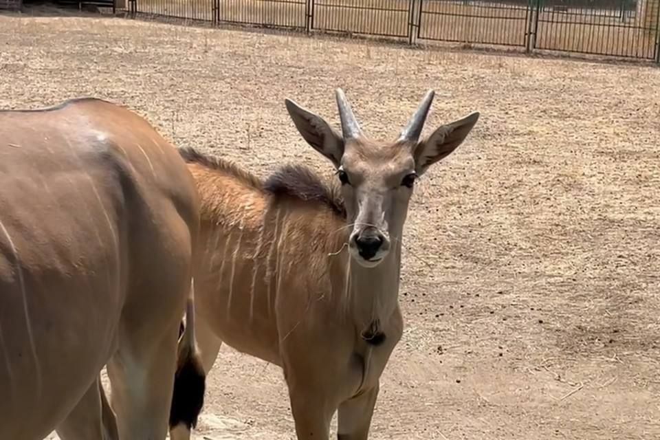 �������� ����� � ����������� ��������-���� ������ ������ ������