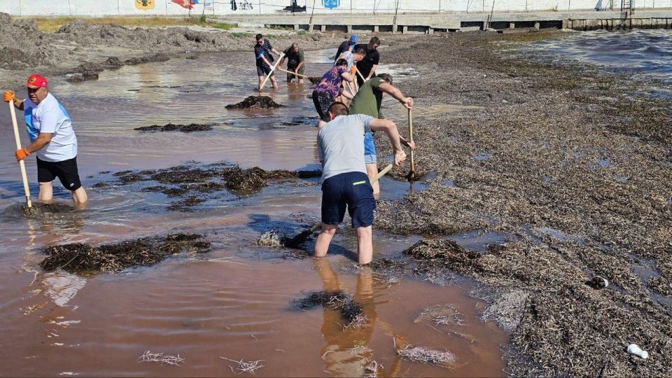 � ���������� ������� 60 ���������� ������� ����� ������ ����������� ����