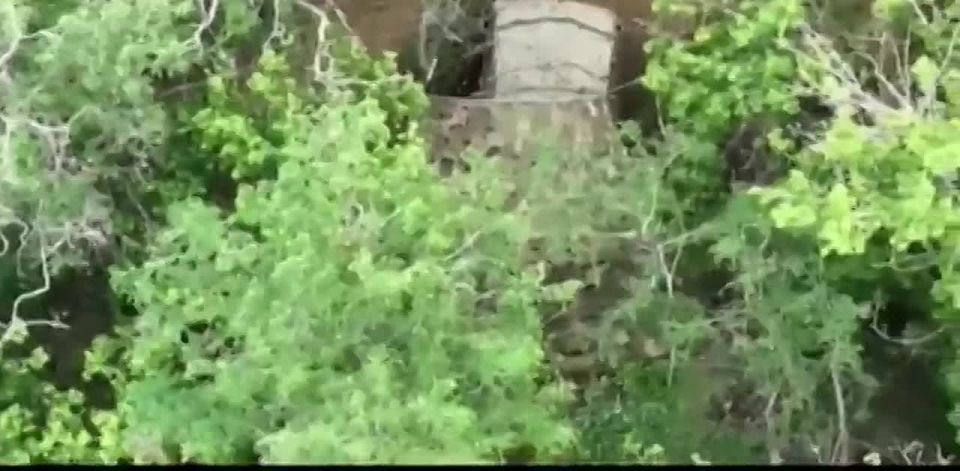 ��������� ����������� �������