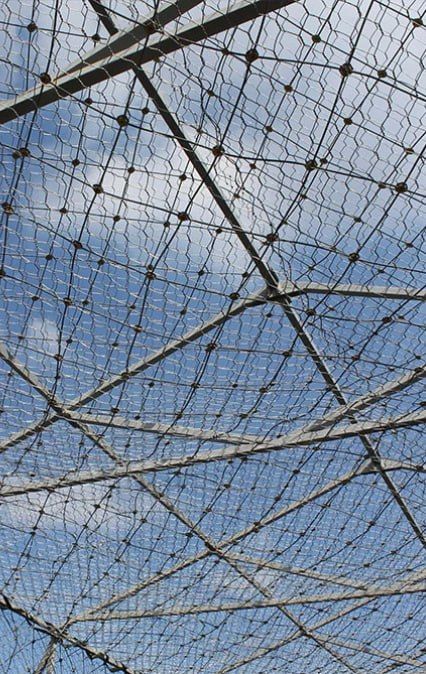 � ������� ������ ������������� ������������ �����