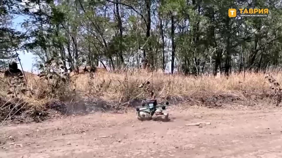 ������ FPV-������ ����������� ������ ����������� ����� "�����" ��������� ������� ���