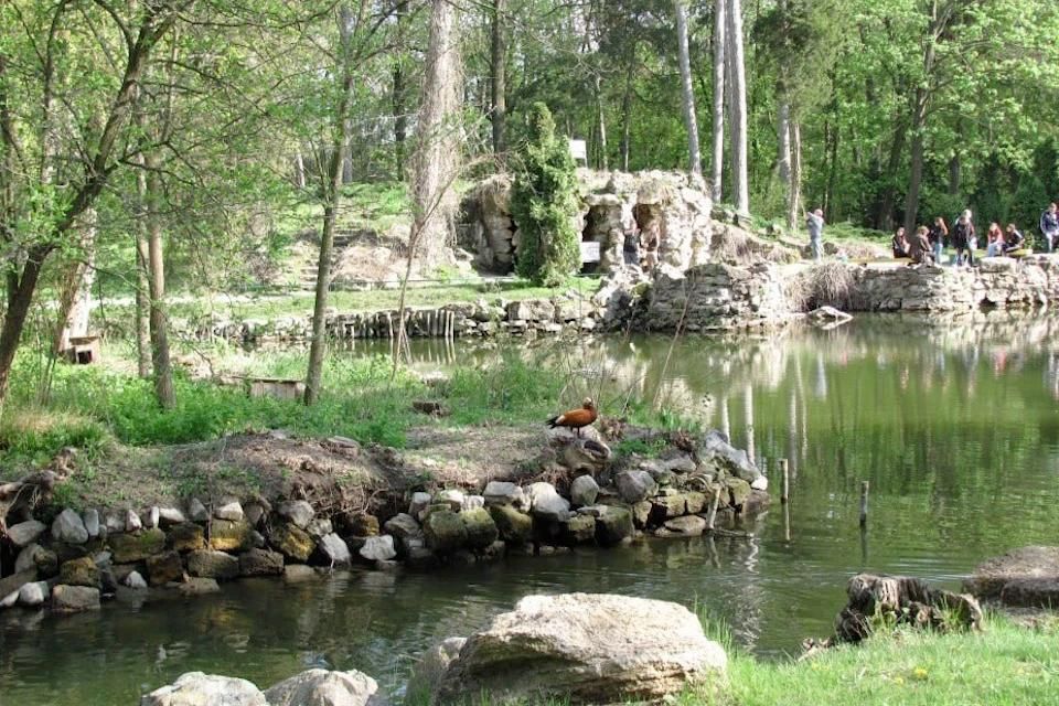 ����������� ��������� �������� �������� ������� � ������� ����������