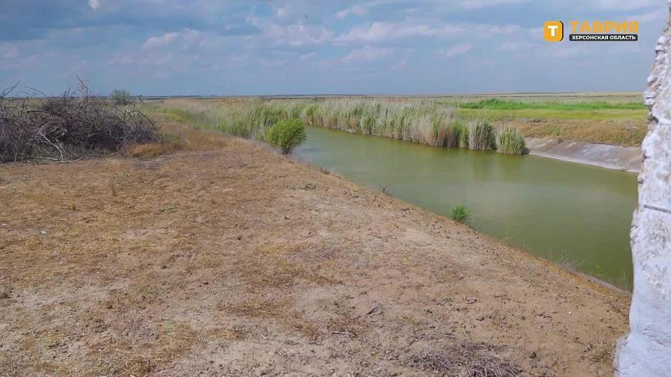 ���������� ������� ����������� ����������� ��������� ���� �������������, ������ ������� ���������