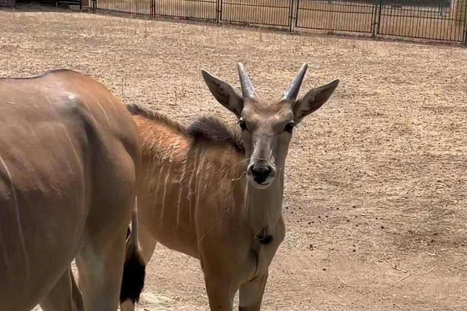 � ��������-���� ������� �� 10 ��� �������� �������� �����