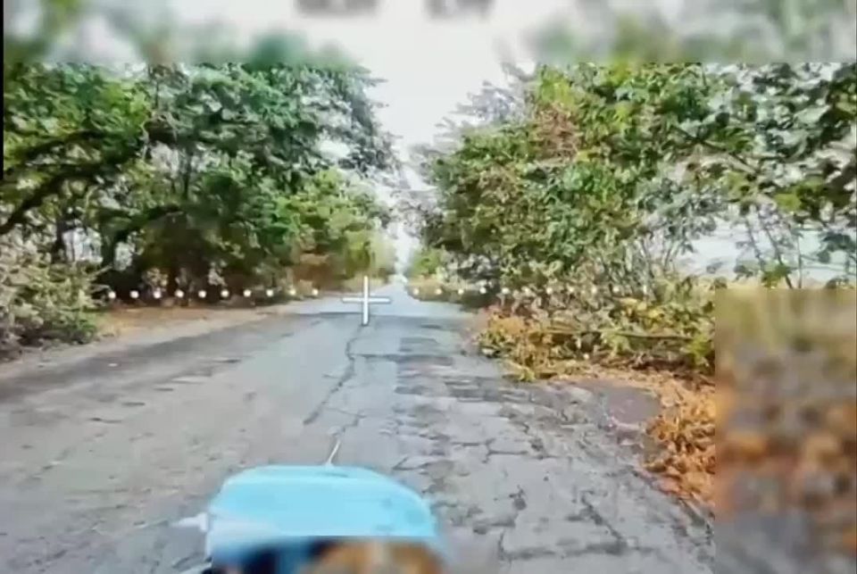 ���� �� �������: ���� ������ ������ ��� ������ ����� ������� ��������� ����������� �����