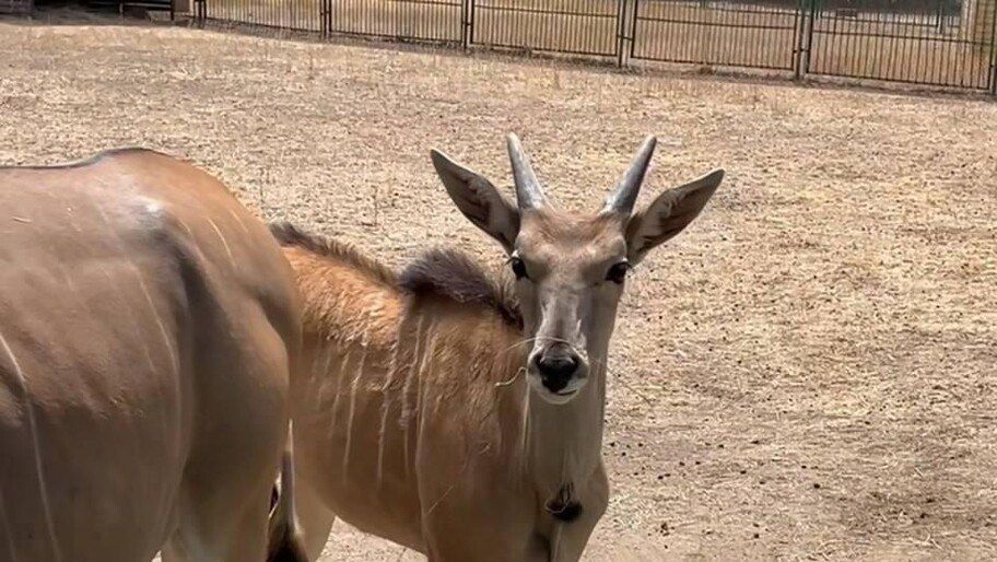 � ��������-���� ������� �� 10 ��� ������� ������� �������� �����