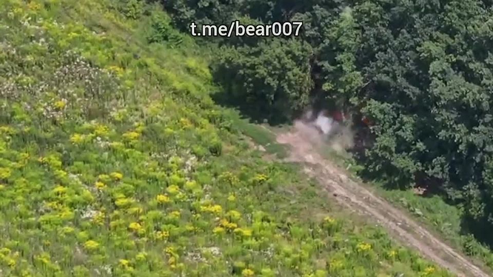 ������������ ����� ����������� ���������� �������� � ������� ������� ��� � �������� ���� �����������, ������������ � ������� ��������