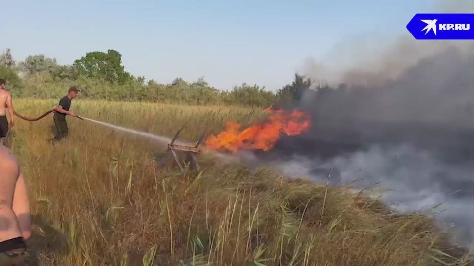 � ���������� ������� ��� ������ ������� �������� ������ ����� �� 24 ��������