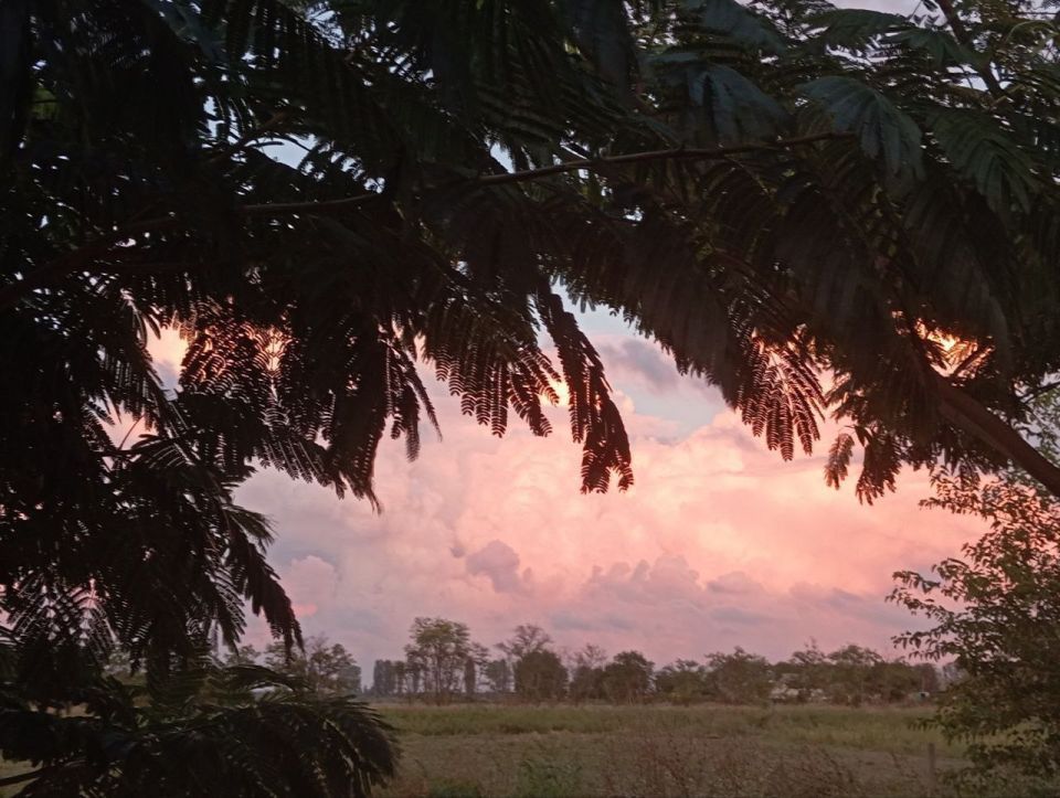 ���������� ���� � �����: ���������� �������� ������ �������� ������� ������� ����