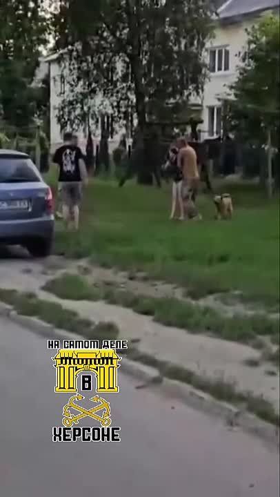 �������� �������� �������� ������������ ���� ����� ����� �� ������ � ��� �����