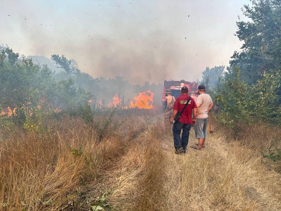 ������ ������: ������ ����� � ����������� ����������� ������������