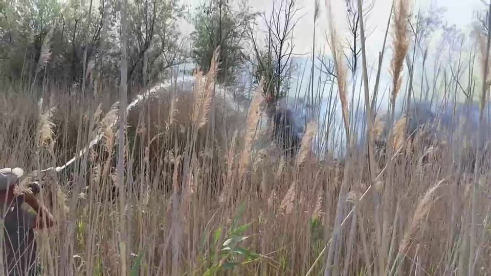 � ���������� ������ ��� ���� ����� ������������ ������ � ���������� ��������� �������