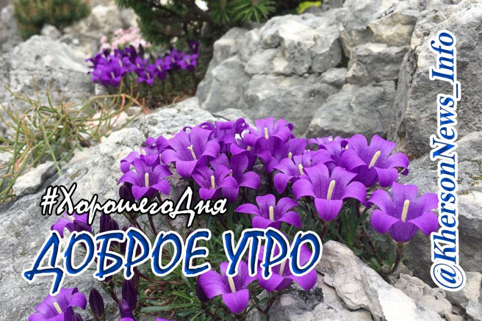 ������ ����, ������!. ���� �������� ��� � ��������� ������� � ����������� ��� ������