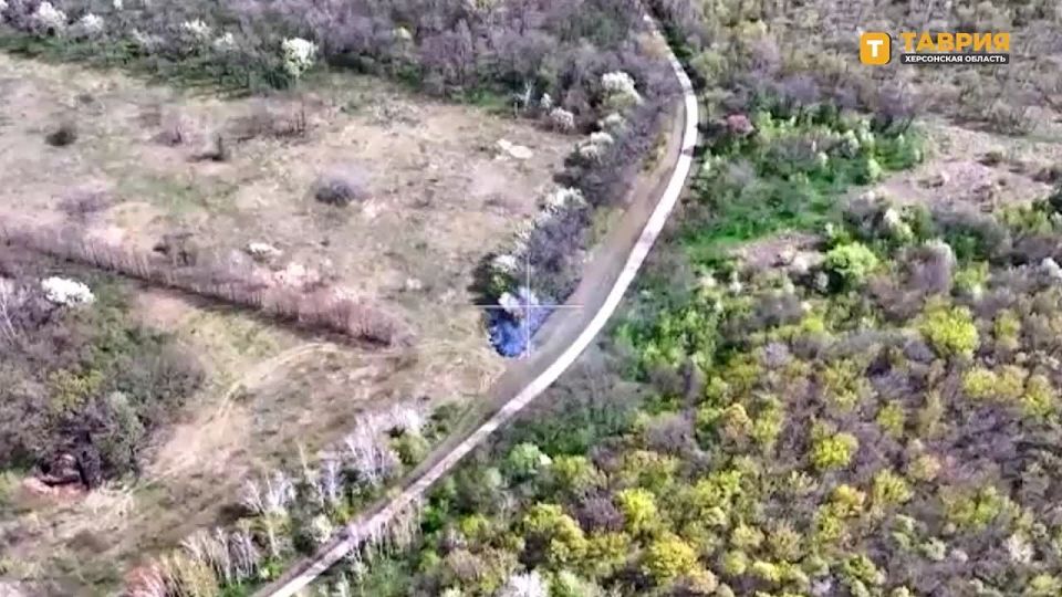 ��������� ������� ���� ������������� ��������� �������, ������ ���������� � ����� � ������������ ��� �� ������ ������ ������