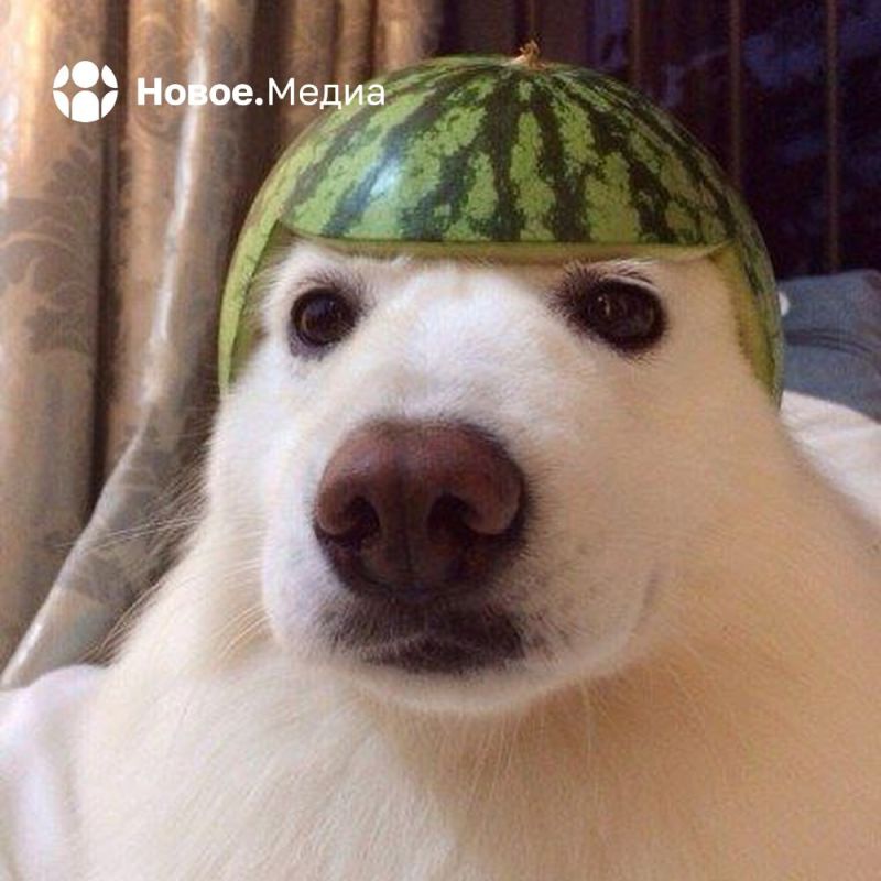 ���� �� �������: ����� ���-�� ����� � �������������? �������� ��� ���� �����.����� � ����������!