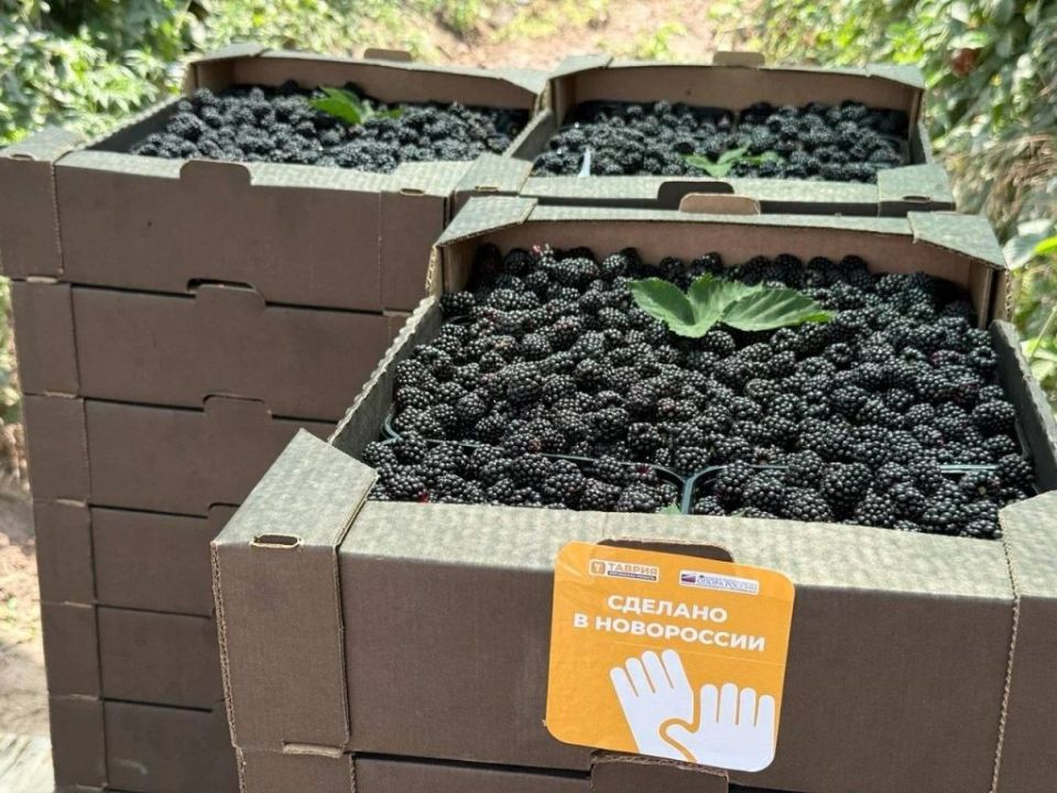 � ��������������� ������ ��������� ������ ������� �� 8 ���� � �������