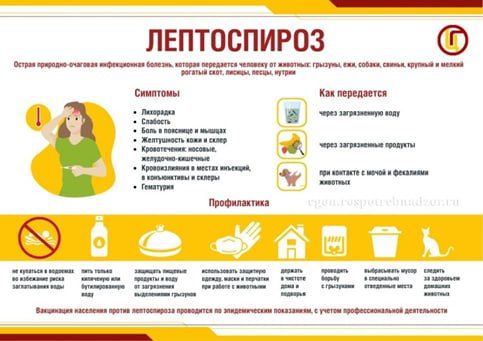 ������������ ������������. ����������� - ������ ��������� ��������-�������� ��������, ����������� ��������������� � ���������� �����, ������, ������� � ���������� ������, ������� � ��������� ���������������� �������� �...