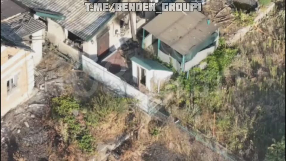 ����������� �����������. ���������-���������� ���������� ������������ ������� ���������� �� ��������� � ������������