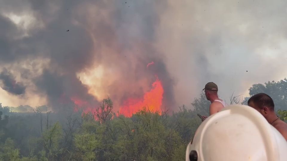 ������ ������: ������ ����� � ����������� ����������� ������������!