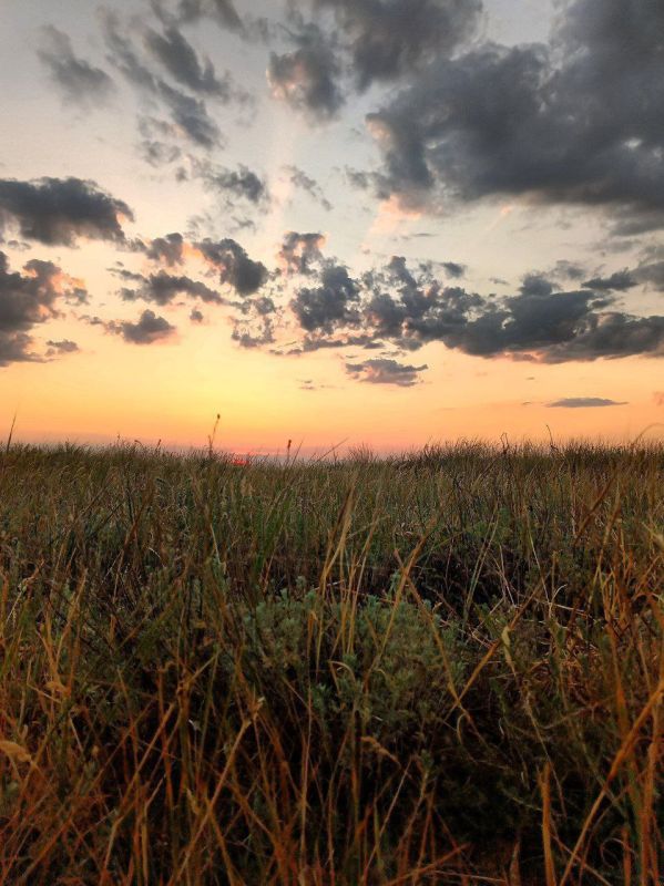 ���������� ���� � �����: �������� �������� ������ ������� ������� ������� ����