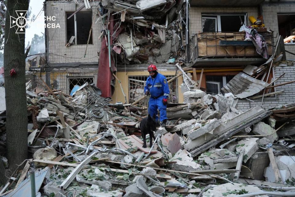 � ����� ������ ������ - ������