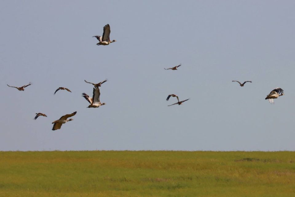 ����������� ��������� ��������� ����� � ����� � ���������� ������� ������� ������ ��� ����� � ���