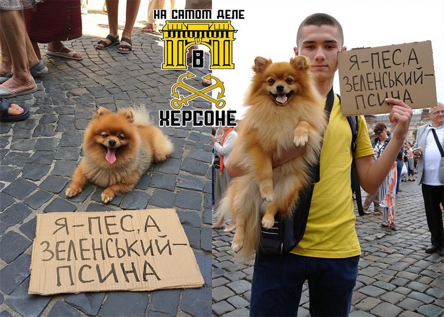 ����� ����� ������ �� �������� ������ �� � ���, � ��������� � �����, ��� ���� ������� � ��������� ��������� � �������� ��-�� ����, ��� �� ���� � ����� ����� �� ������