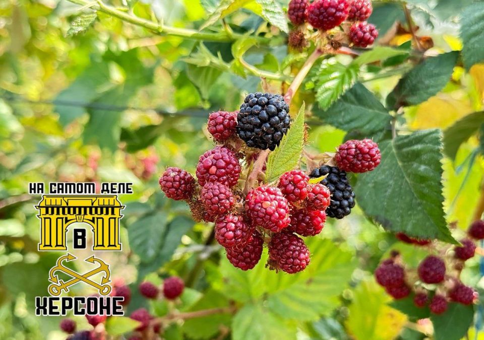 ������� �� ���������� ������� ��������� ������������ � ������� ������, ���������� � ����������