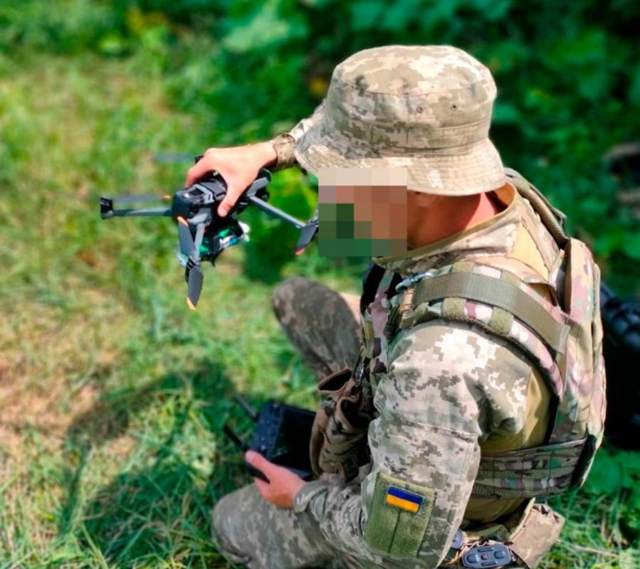 Енот из Херсона: ВСУ продолжают практику целенаправленного террора в Херсонской области