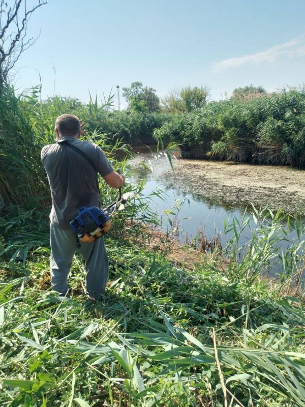 ���������������� ������ �������� ����� ���������� ���� ���������������� ������