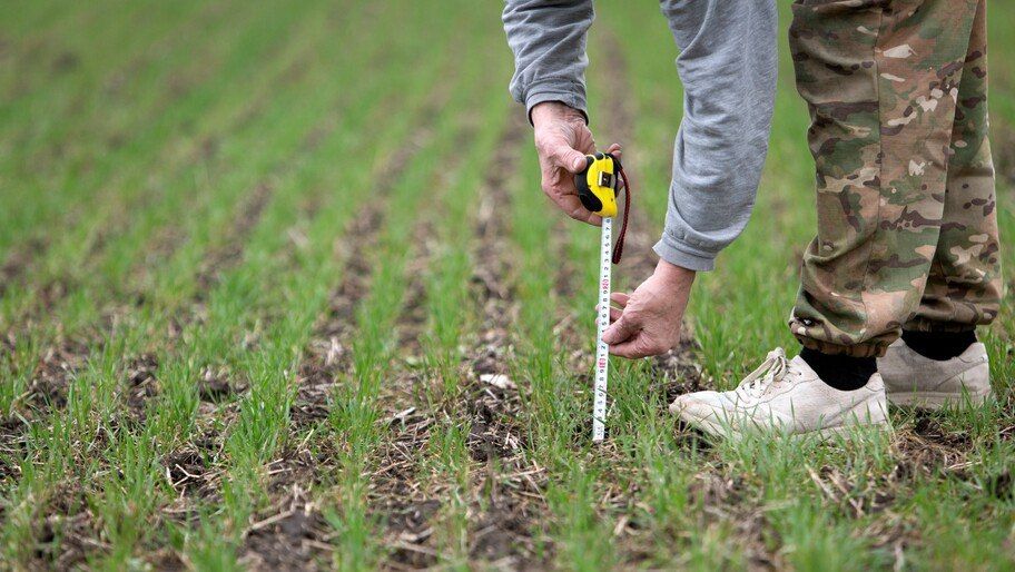 ������: ������� ������� ������������ � ����� �������� ����� ����������� ������� ����������