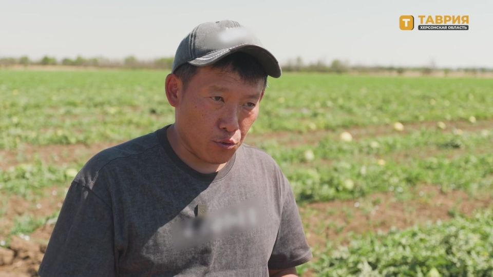 ���������� � ������� ��������� ������ ������� �� ������ ����������� �������, � �������� �� 70�80%, ������ ����� ���