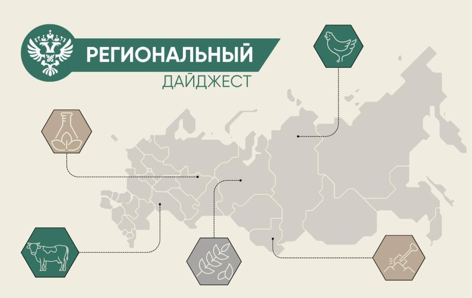 ������������ � ������������ ����������������� � �������� � ����� ���������� �������