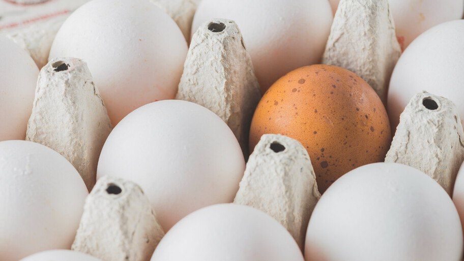 Не морковкой единой. Диетолог назвала неожиданный продукт для здоровья глаз