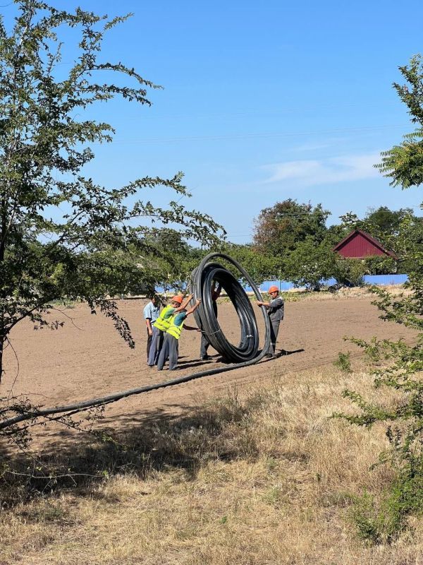 � ��� ������� �������� ��������� ����� 300 ������ ������ ������������