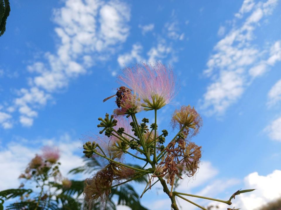 ������� ������� ����, ������!