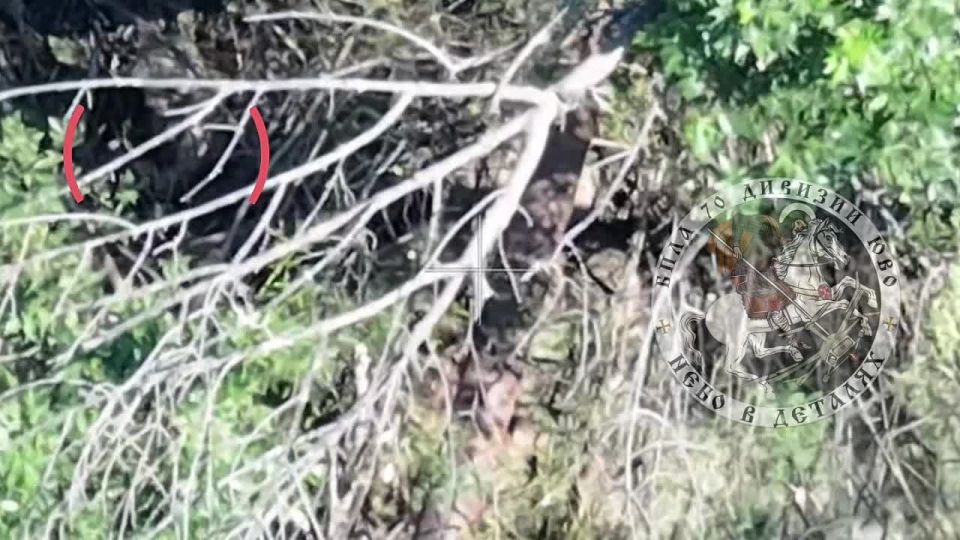 ���������� �����������.. ���� ����� ���������� ��������� ������������ �����, �� ����� ��� ����������� � ���������