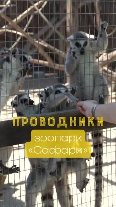 ���������� ������� ������� ������� ���������� �� 3 �������