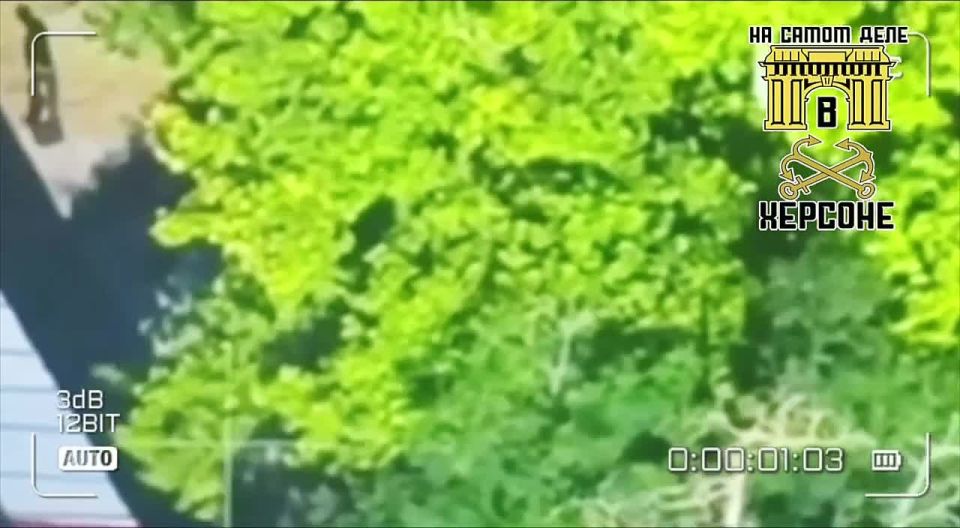 ������. ����� �� �� ���