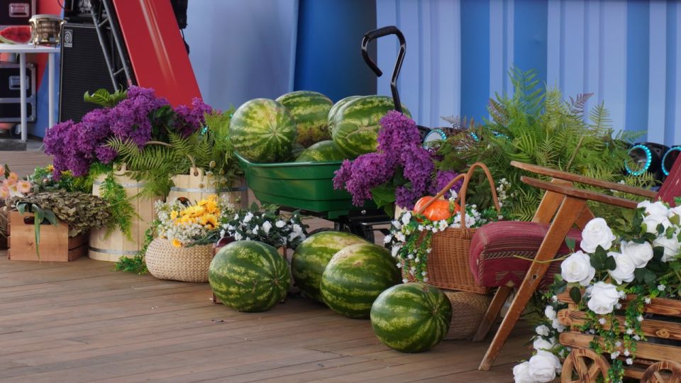 ��������� ��������.��� ������, ��� �������� ����� �� ���������� �������