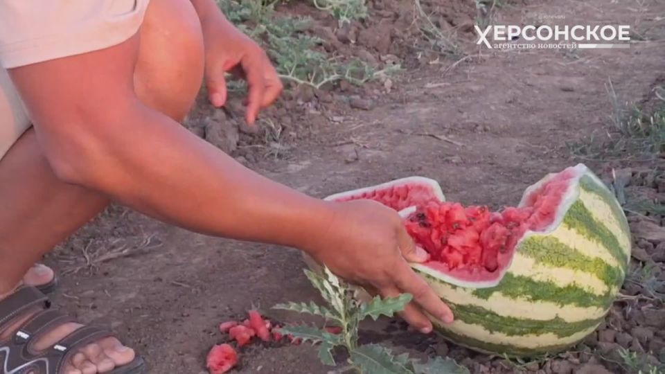 ��� ����� ���� ������: ��������� ���������� ������ ����� ���