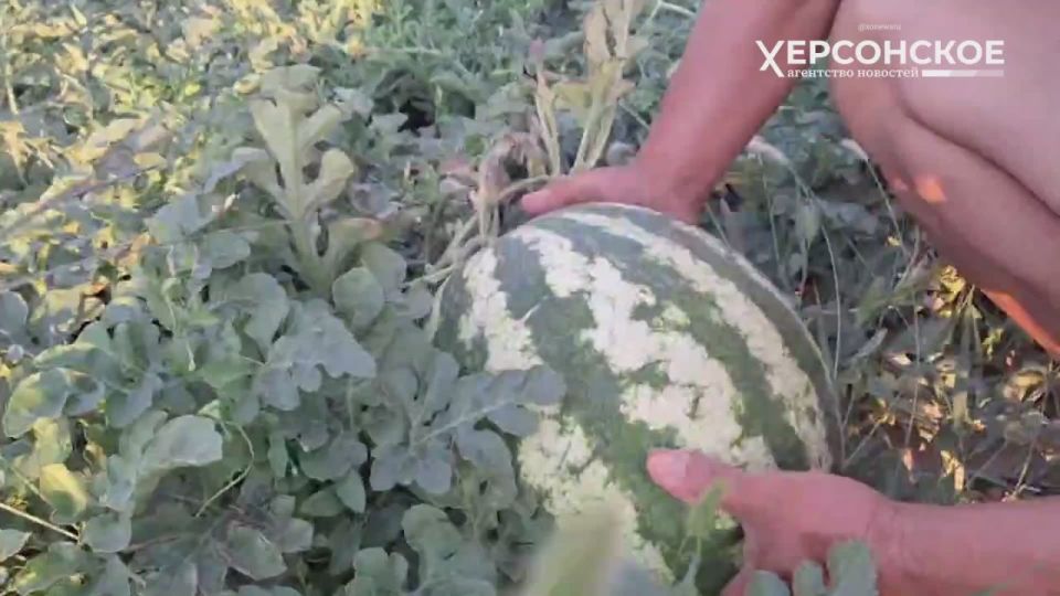 ��� ������� ������� �����: ������ �� �������������!