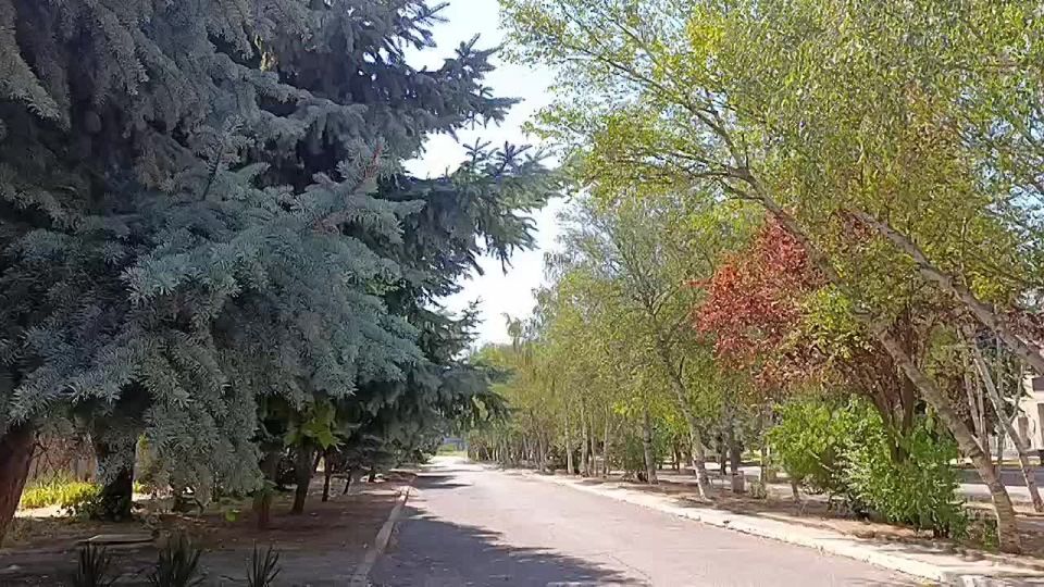 ������� ����������� ���� ����!