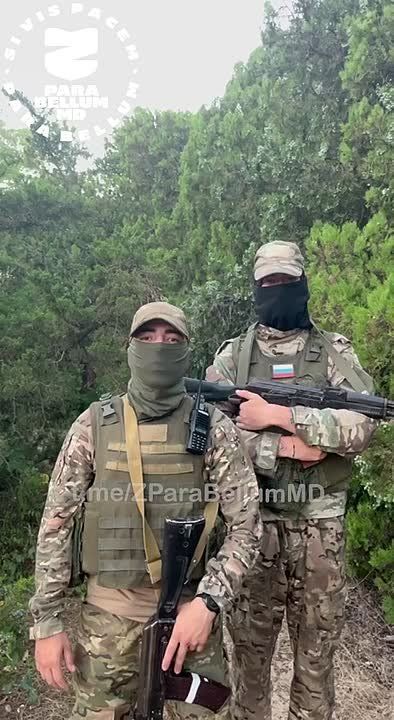 ���������� ���� ��� ������ ��������� �������, ����������� � ����������� ����������� � �������� �������������: �����������, �����, ��������