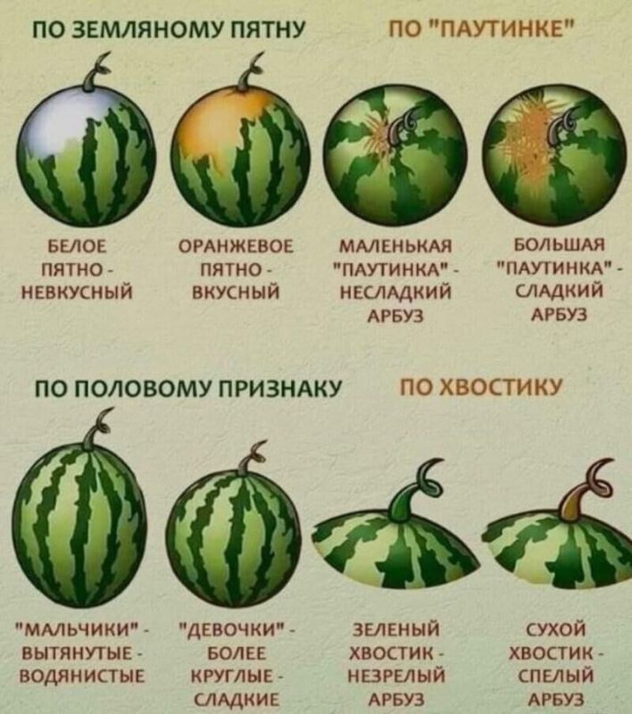 ������� ���� ������. ������ ������: � ���� ���� �� ���� � ���� ������!