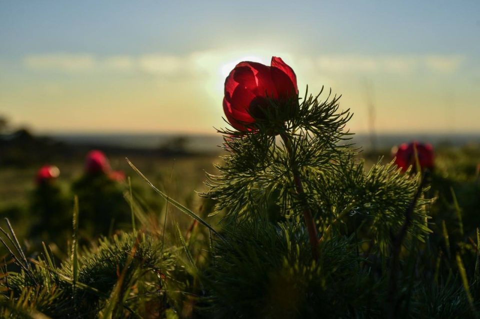 � ��������� �������� ���������� �������� ��������������� ��������� ����������